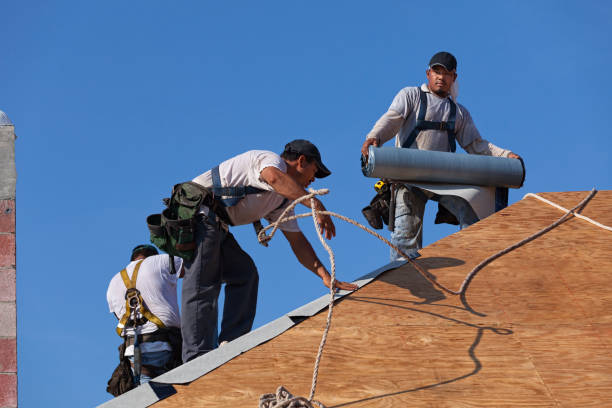 Professional Roofing Contractor in Belfast, ME