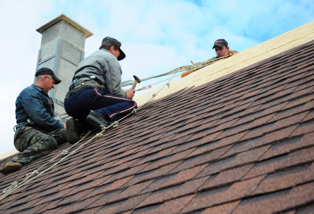 Best Roof Repair Services  in Belfast, ME