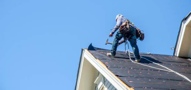Best Roof Gutter Cleaning  in Belfast, ME